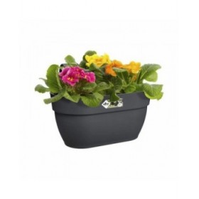 Vaso sospeso Elho 3662603642500 Plastica 24 x 36 x 26,5 cm