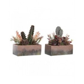 Pianta Decorativa DKD Home Decor 19 x 9 x 22 cm Rosa Arancio Cactus Gomma Eva polipropilene (2 Unità)