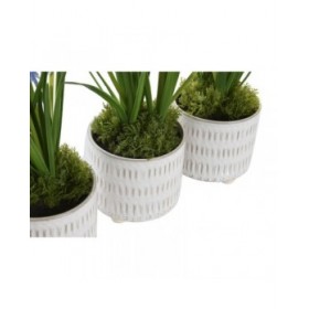 Pianta Decorativa DKD Home Decor Schiuma Azzurro Rosa Giallo polipropilene 15 x 15 x 30 cm (3 Pezzi)
