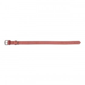 Collare per Cani Gloria Oasis Rosa (70 x 3 cm)