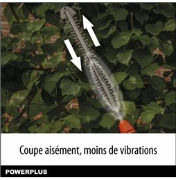 Forbici per zampe 3 Claveles 10 cm (10,15 cm)