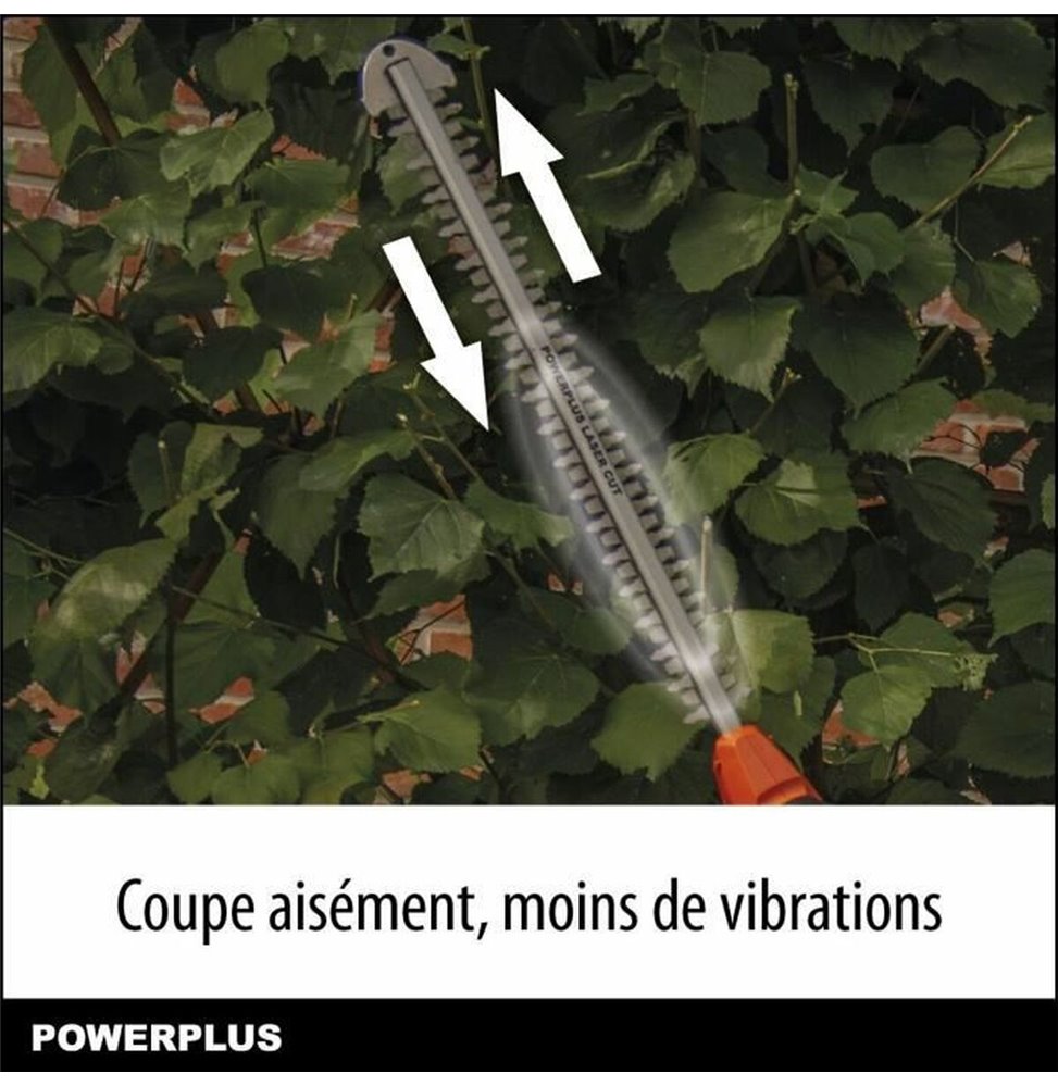 Forbici per zampe 3 Claveles 10 cm (10,15 cm)