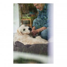 Divano per cani Hunter Boston Marrone (60 x 50 cm)