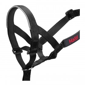 Collari da addestramento per cani Company of Animals Halti Nero Museruola (31-40 cm)
