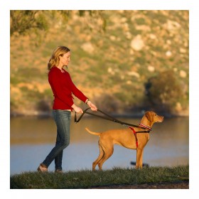 Imbracatura per Cani Company of Animals Halti Nero/Rosso L (80-120 cm)
