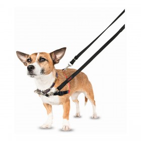 Imbracatura per Cani Company of Animals Halti Nero/Rosso L (80-120 cm)