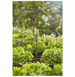 Imbracatura per Cani Company of Animals Halti Taglia S (26-36 cm)