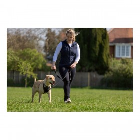 Imbracatura per Cani Company of Animals Halti Taglia M (34-56 cm)