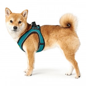 Imbracatura per Cani Hunter Hilo Comfort 55-60 cm Taglia M Turchese