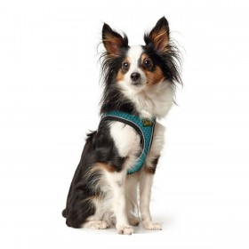 Imbracatura per Cani Hunter Hilo Comfort 55-60 cm Taglia M Turchese