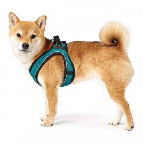 Imbracatura per Cani Hunter Hilo Comfort 55-60 cm Taglia M Turchese
