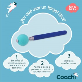 Giocattolo da allenamento Coachi Stick Azzurro