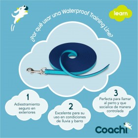 Guinzaglio da addestramento Coachi Azzurro Allenamento
