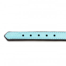 Collare per Cani Gloria 30 cm Trapunta Pelle Azzurro