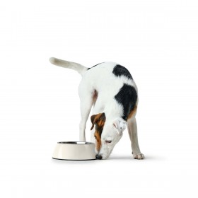 Ciotola per cani Hunter Nero 1,4 L Melammina