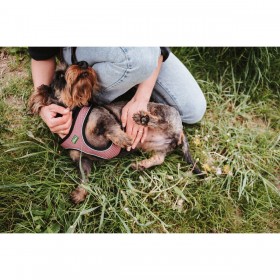 Imbracatura per Cani Hunter Comfort Rosa M/L 58-63 cm