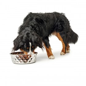 Ciotola per cani Hunter Silicone Acciaio inossidabile 550 ml