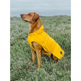 Cappotto per Cani Hunter Milford Giallo 40 cm