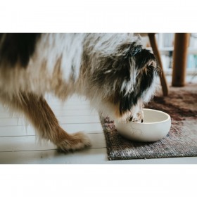 Ciotola per cani Hunter Bianco Ceramica Silicone 1,5 L Moderno