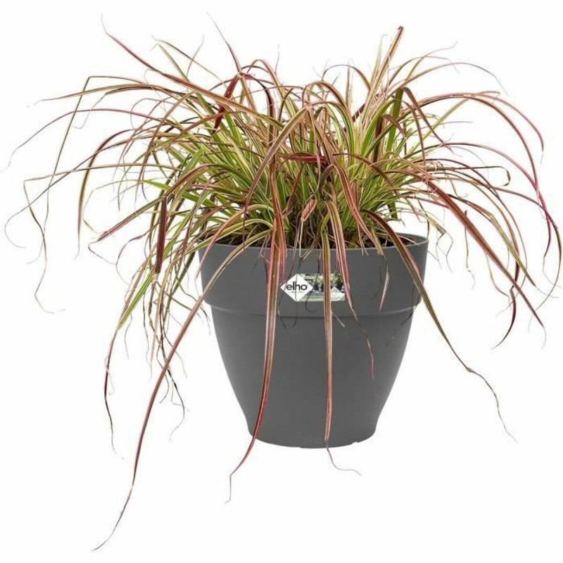 Collare per Cani Hunter Aalborg Cioccolato XS 24-29 cm