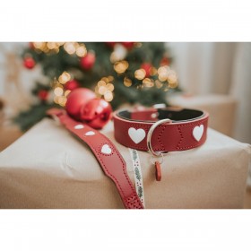 Collare per Cani Hunter Love Rosso S/M 38-44 cm