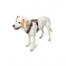 Imbracatura per Cani Hunter Maldon Up Rosa 66-118 cm