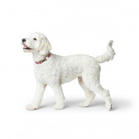 Collare per Cani Hunter Inari Rosso M 30-45 cm