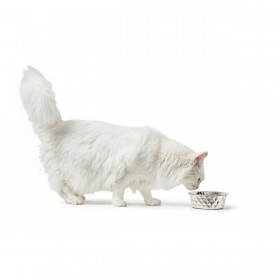 Ciotola per cani Hunter Silicone Acciaio inossidabile 350 ml