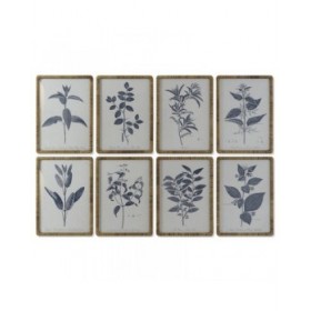 Quadro DKD Home Decor Moderno Piante botaniche 50 x 2,5 x 70 cm (8 Unità)