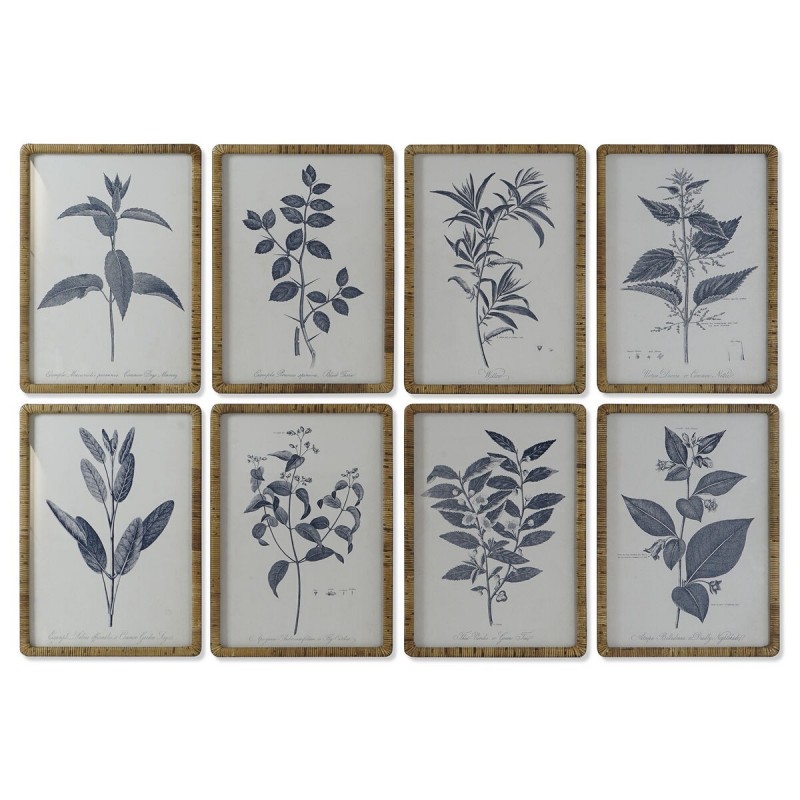 Quadro DKD Home Decor Moderno Piante botaniche 50 x 2,5 x 70 cm (8 Unità)