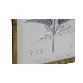 Quadro DKD Home Decor Moderno Piante botaniche 50 x 2,5 x 70 cm (8 Unità)