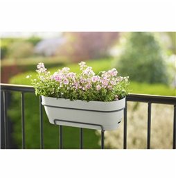 Sabbia per Gatti Gloria Premium Aloe Vera 5 kg 4 Unità