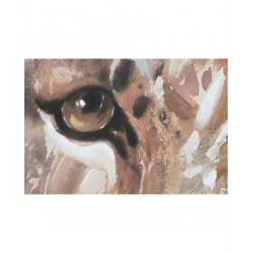 Quadro Home ESPRIT Coloniale Tigre 80 x 3,7 x 100 cm (2 Unità)