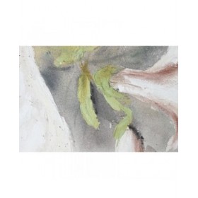 Quadro Home ESPRIT Tropicale 90 x 3,7 x 120 cm (2 Unità)