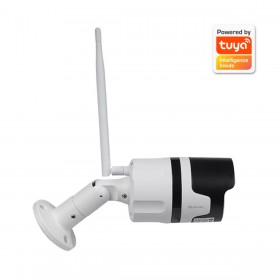 Videocamera di Sorveglianza Denver Electronics
