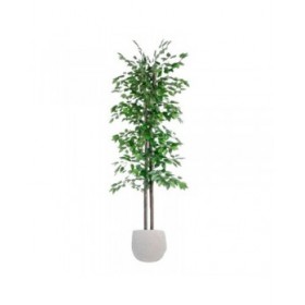 Albero Home ESPRIT Poliestere Legno 80 x 80 x 180 cm