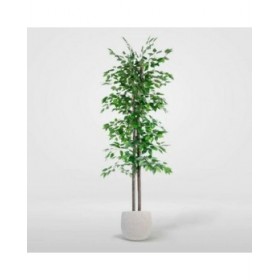 Albero Home ESPRIT Poliestere Legno 80 x 80 x 180 cm