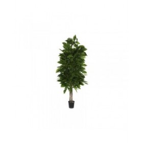 Albero Home ESPRIT Poliestere Legno 100 x 100 x 185 cm