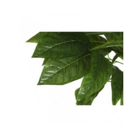 Albero Home ESPRIT Poliestere Legno 100 x 100 x 185 cm