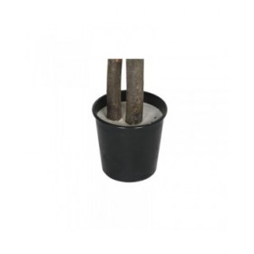 Albero Home ESPRIT Poliestere Legno 100 x 100 x 185 cm