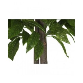 Albero Home ESPRIT Poliestere Legno 100 x 100 x 185 cm