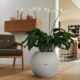 Vaso Autoirrigante Lechuza Grigio Sfera