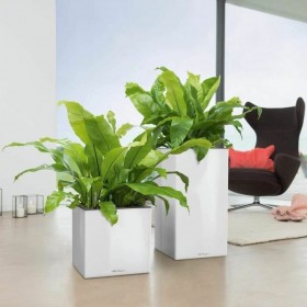 Vaso Autoirrigante Lechuza Bianco 40 x 40 x 76 cm