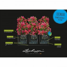 Vaso Autoirrigante Lechuza Bianco Quarzo 100 x 32,5 x 34,5 cm Rettangolare