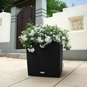 Vaso Autoirrigante Lechuza Nero 49 x 49 x 49,5 cm