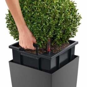 Vaso Autoirrigante Lechuza Marrone 39,5 x 39,5 x 75,5 cm Plastica Rettangolare