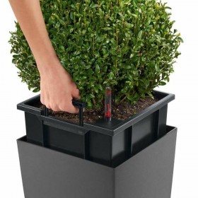 Vaso Lechuza 40 x 40 x 105 cm Plastica Rettangolare