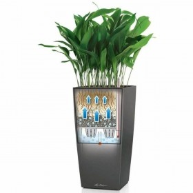 Vaso Lechuza 40 x 40 x 105 cm Plastica Rettangolare
