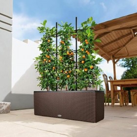 Vaso Lechuza 100 x 32 x 34 cm Plastica Rettangolare