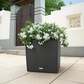 Vaso Lechuza 50 x 50 x 50 cm Plastica